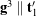 {\bf g}^3 \parallel {\bf t}^{\prime}_1