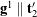 {\bf g}^1 \parallel {\bf t}^{\prime}_2