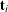{\bf t}_i