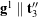 {\bf g}^1 \parallel {\bf t}^{\prime \prime}_3
