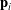 {\bf p}_i
