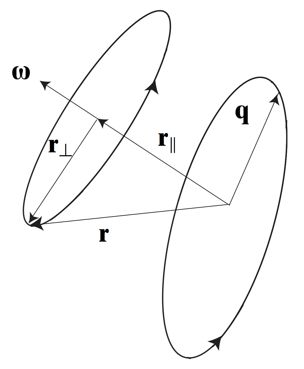 rigid motion